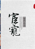 宦宠无删减
